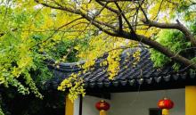 苏州大学18
