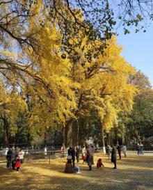 苏州大学30