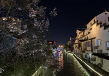 清名桥古运河景区12