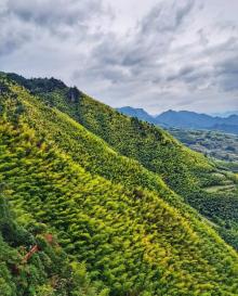 南尖岩景区17