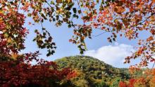 天平山21