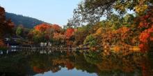 天平山16