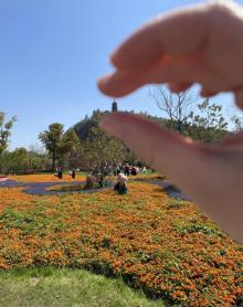 狼山风景区29