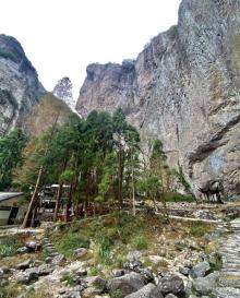 大龙湫景区17
