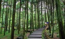 大龙湫景区1