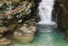 牛头山国家森林公园5