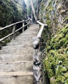 牛头山国家森林公园9