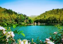 宜兴竹海15