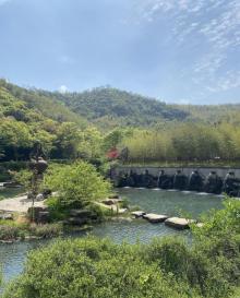 宜兴竹海26