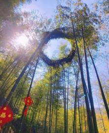 宜兴竹海30