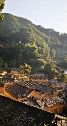 杨家堂村29