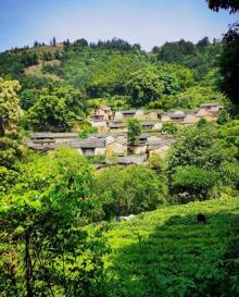 杨家堂村10