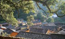 杨家堂村22