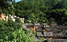 杨家堂村1