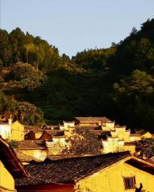 杨家堂村27