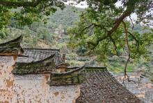 杨家堂村16
