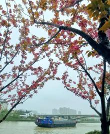 苏州古运河8