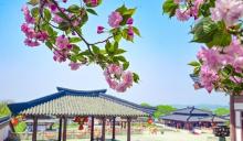 三国城5