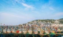 枸杞岛10