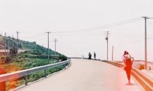 枸杞岛5