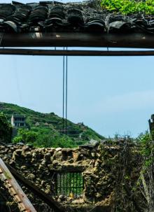 枸杞岛7