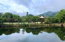 丽水古街26