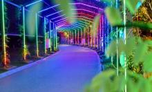南通森林野生动物园20