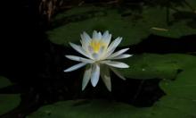 长屿硐天14