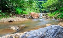 楠溪江风景旅游区1
