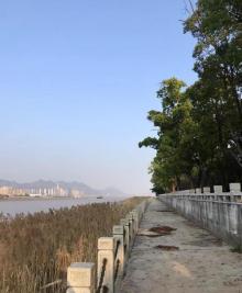 江心屿29