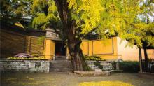 惠山古镇18