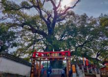 新安江山水画廊8