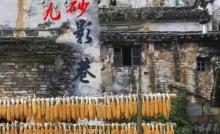 新安江山水画廊2