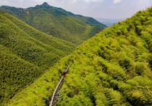 南山竹海20