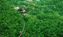 南山竹海28