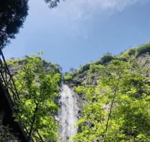 刘伯温故里景区・百丈T21