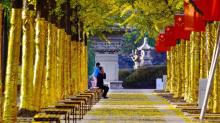 灵山大佛20