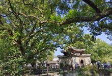 古堰画乡景区22