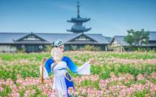 拈花湾14