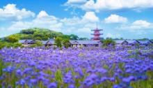 拈花湾15