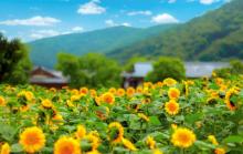 拈花湾16