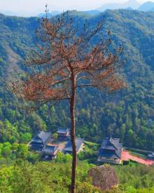 仙都景区15