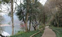 仙都景区5