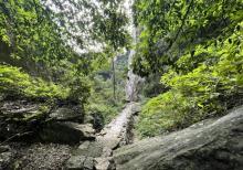 雁荡山28