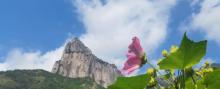 雁荡山27