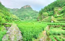 十九峰15