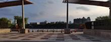 槐树公园1