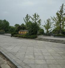 泰和公园2