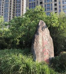 仑江公园1