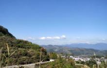 南山章村3